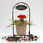 Gift Glowing Greetings Basket Stand with Cyclamen and LED Lights