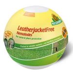 Leatherjacketfree Nematodes