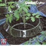 Garden Grow Snail Collar/ Tomato Auto-Waterer