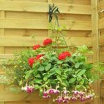 MSE Hanging Basket Kit 2 Baskets 12 Premium Mixed Bedding with 10L Compost
