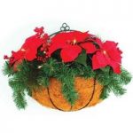 Home Wall Basket with Poinsettia and LED Lights