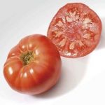 Heirloom Tomatoes Marmande 6 Large Plants