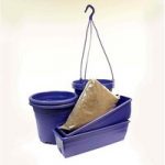 Dark Blue Planting Kit with Compost