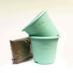 Two Fresh Green Container and Compost Kit