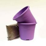 Two Lavender Containers and Compost Kit