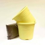 Yellow Container x 2 & Compost Kit