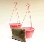 Two Pink Hanging Baskets and Compost Kit
