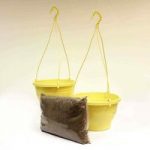 Two Yellow Hanging Baskets and Compost Kit