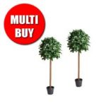 Gardman Artificial Bay Tree – 2 Pack Multi Buy