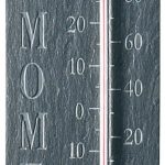 Fallen Fruits Slate Text Thermometer