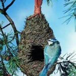 Tall Roosting Wild Bird Nest Pocket
