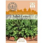Thompson and Morgan Cut n Come Again Salad Leaves – 300 seeds