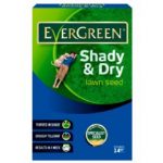 Evergreen Shady and Dry Lawn Seed – 420g
