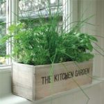 Unwins Kitchen Garden Herb Kit