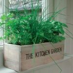 Unwins Mediterranean Kitchen Garden Herb Kit