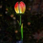 Smart Garden Solar Tulip Light – 2 Pack
