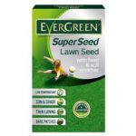 Evergreen Super Seed – 2kg
