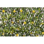 WonderWal Yellow Rose Leaf Trellis on Willow Frame – 1m x 2m