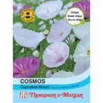 Cosmos Cupcakes – Mixed – 100 Seeds