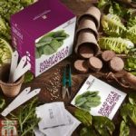 Thompson and Morgan Cut and Come Again Grow Kit