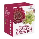 Thompson and Morgan Succulents Grow Kit