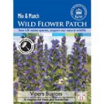 Thompson and Morgan Wild Flower Vipers Bugloss – 75 Seeds