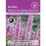 Thompson and Morgan Wild Flower Purple Loosestrife – 500 Seeds