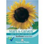 Thompson and Morgan Sunflower Russian Giant – 25 Seeds