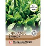Thompson and Morgan Organic Spinach Palco F1 Hybrid – 450 Seeds