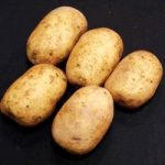 Pentland Javelin Seed Potatoes (1kg)