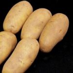 Charlotte Seed Potatoes (1kg)