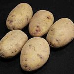 Kestrel Seed Potatoes (1kg)