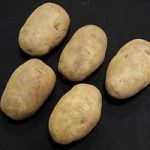 Arran Pilot Seed Potatoes (1kg)