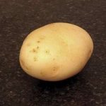 Casablanca Seed Potatoes (1kg)