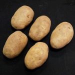 Arran Pilot Seed Potatoes (2kg)