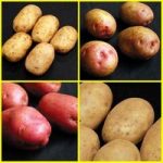 Lucky Dip Seed Potatoes 3kg