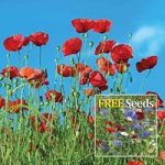 Gift 48 Jumbo Poppy Plants plus free Wildflower Seeds and Feed