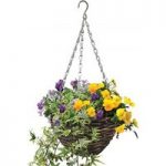 Floral Mixed (Autumn) 2 Pre-Planted Rattan Baskets