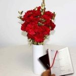 Red & Gold Carnations 10 Stems + Vase plus Diary