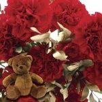 Red & Gold Carnations 10 Stems + Cuddly Bear
