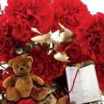 Red & Gold Carnations 10 Stems + Cuddly Bear plus Diary