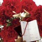 Red & Gold Carnations 15 Stems plus Diary
