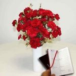 Red and Gold Carnations 20 Stems + Vase plus Diary
