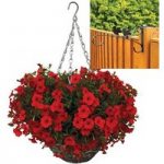 Petunia Surfinia Classic Dark Red 2 Pre-Planted Rattan H/Baskets with Fence Brackets