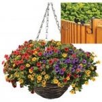 Petunia Trillion Bells Carnival Mix 2 Pre-Planted Rattan Hanging Baskets And Fence Brackets