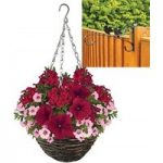 Rocking Red 2 Pre-Planted Rattan H/Baskets with Fence Brackets