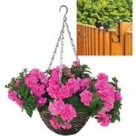Petunia Tumbelina Scented Dark Pink 2 Pre-Planted Rattan H/Baskets with Fence Brackets
