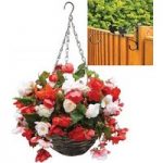 Begonia Odorata Mix 2 Pre-Planted Rattan H/Baskets with Fence Brackets