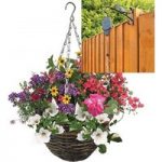 Mixed Floral 2 Pre-Planted Rattan Hanging Baskets And Pulleys