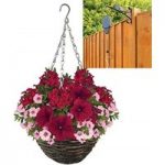 Rocking Red 2 Pre-Planted Rattan H/Baskets with Pulleys
